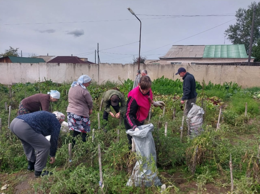 Проживающие Нерчинского дома-интерната собрали большой урожай овощей, выращенных собственными руками